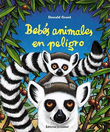 BEBES ANIMALES EN PELIGRO | 9788426137791 | DONALD GRANT | Llibres Parcir | Llibreria Parcir | Llibreria online de Manresa | Comprar llibres en català i castellà online