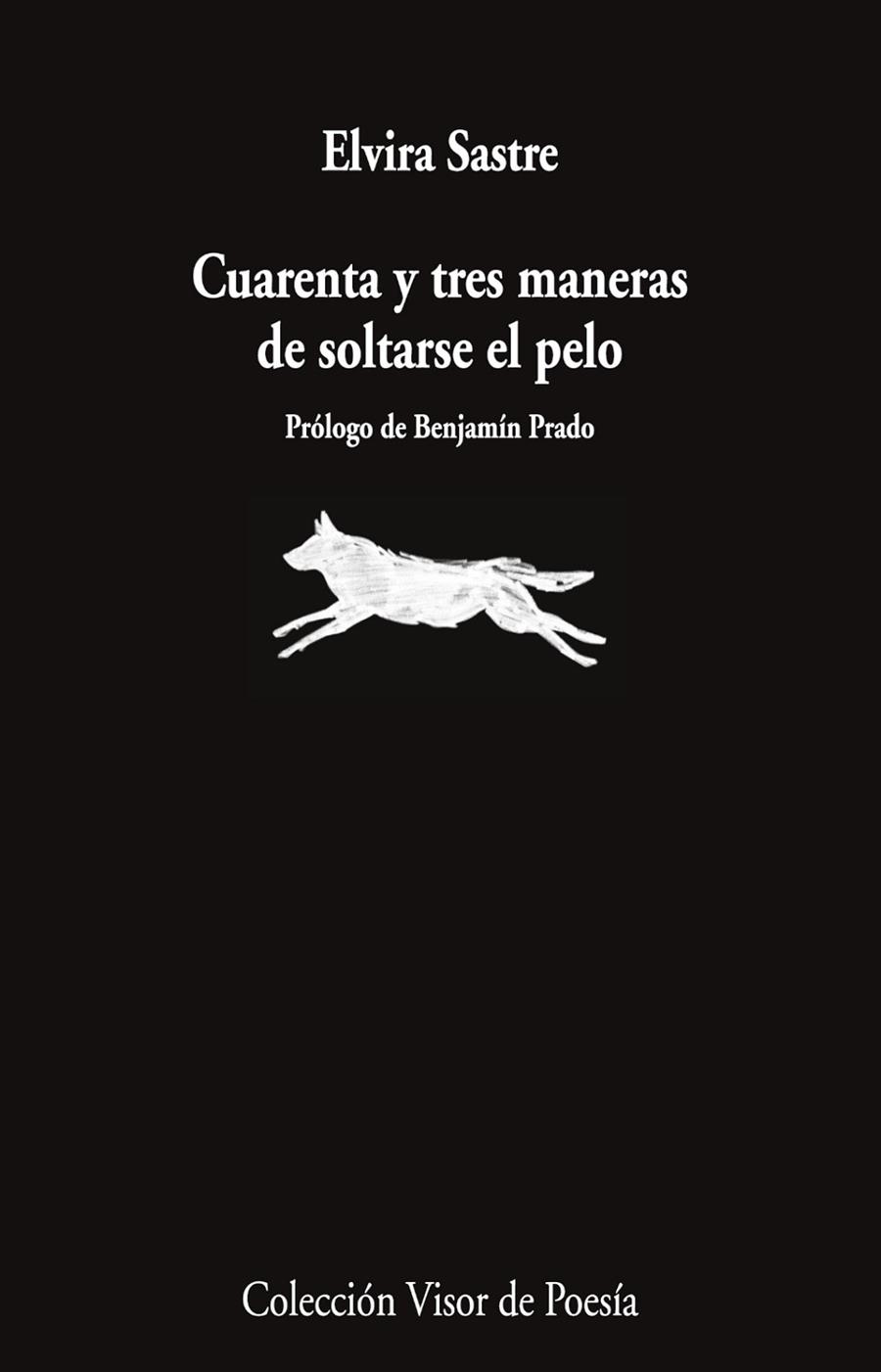 CUARENTA Y TRES MANERAS DE SOLTARSE EL PELO | 9791387745868 | SASTRE, ELVIRA | Llibres Parcir | Llibreria Parcir | Llibreria online de Manresa | Comprar llibres en català i castellà online