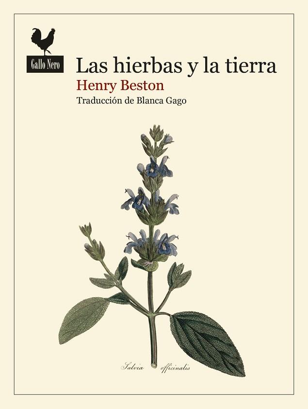 LAS HIERBAS Y LA TIERRA | 9788419168740 | BESTON, HENRY | Llibres Parcir | Llibreria Parcir | Llibreria online de Manresa | Comprar llibres en català i castellà online