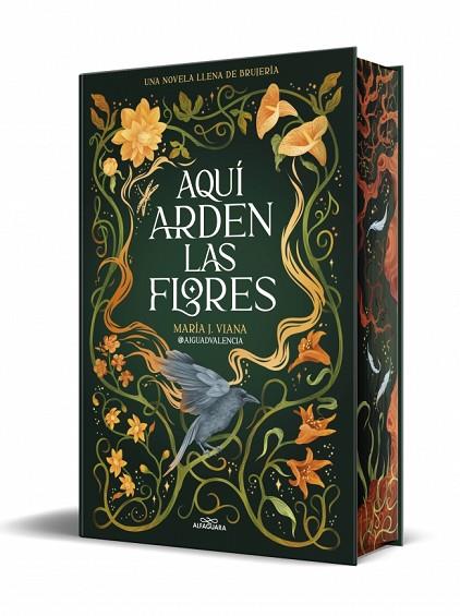 AQUÍ ARDEN LAS FLORES | 9791387741662 | @AIGUADVALENCIA | Llibres Parcir | Llibreria Parcir | Llibreria online de Manresa | Comprar llibres en català i castellà online