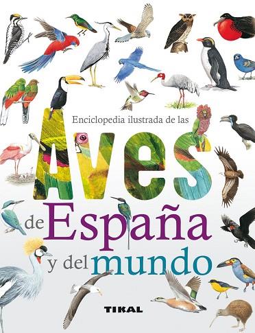 AVES DE ESPAÑA Y DEL MUNDO | 9788499281889 | ALDERTON, DAVID | Llibres Parcir | Llibreria Parcir | Llibreria online de Manresa | Comprar llibres en català i castellà online