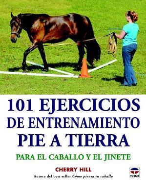 101 EJERCICIOS DE ENTRENAMIENTO PIE A TIERRA | 9788479029432 | HILL, CHERRY | Llibres Parcir | Llibreria Parcir | Llibreria online de Manresa | Comprar llibres en català i castellà online
