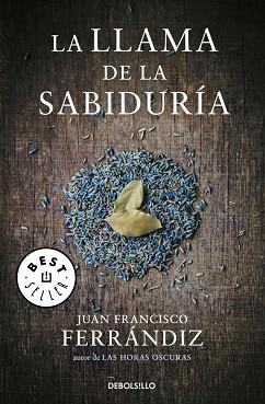 LA LLAMA DE LA SABIDURÍA | 9788466332798 | FERRANDIZ, JUAN FRANCISCO | Llibres Parcir | Librería Parcir | Librería online de Manresa | Comprar libros en catalán y castellano online