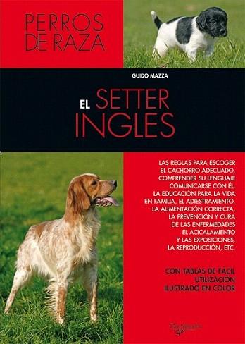 SETTER INGLES PERROS RAZA | 9788431515324 | MAZZA | Llibres Parcir | Librería Parcir | Librería online de Manresa | Comprar libros en catalán y castellano online