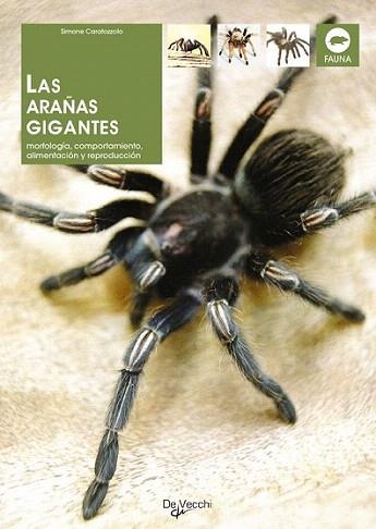 LAS ARANAS GIGANTES | 9788431529444 | CARATOZZOLO SIMONE | Llibres Parcir | Librería Parcir | Librería online de Manresa | Comprar libros en catalán y castellano online