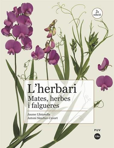 L'HERBARI: MATES, HERBES I FALGUERES | 9788491682981 | SÀNCHEZ CUXART, ANTONI / LLISTOSELLA VIDAL, JAUME | Llibres Parcir | Librería Parcir | Librería online de Manresa | Comprar libros en catalán y castellano online