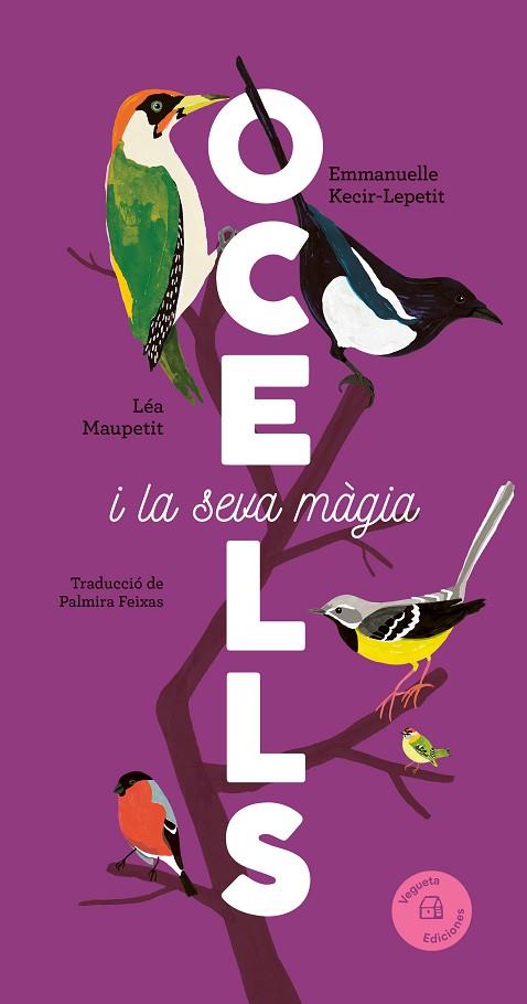 OCELLS | 9788419794376 | KECIR-LEPETIT, EMMANUELLE | Llibres Parcir | Librería Parcir | Librería online de Manresa | Comprar libros en catalán y castellano online