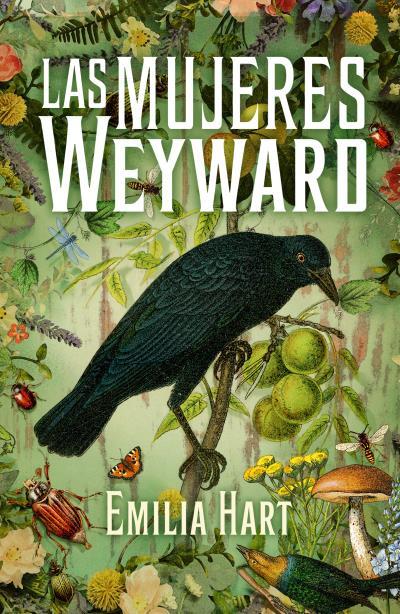 LAS MUJERES WEYWARD | 9788419030252 | HART, EMILIA | Llibres Parcir | Llibreria Parcir | Llibreria online de Manresa | Comprar llibres en català i castellà online