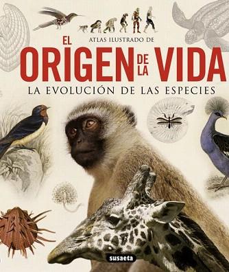 EL ORIGEN DE LA VIDA LA EVOLUCION DE LAS ESPECIES | 9788467713336 | MASSA, RENATO | Llibres Parcir | Librería Parcir | Librería online de Manresa | Comprar libros en catalán y castellano online