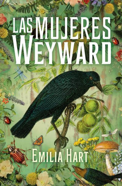LAS MUJERES WEYWARD | 9788419130419 | HART, EMILIA | Llibres Parcir | Llibreria Parcir | Llibreria online de Manresa | Comprar llibres en català i castellà online