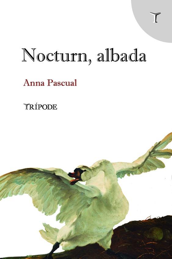NOCTURN, ALBADA | 9788412817997 | PASCUAL VALL, ANNA | Llibres Parcir | Librería Parcir | Librería online de Manresa | Comprar libros en catalán y castellano online