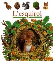 L'ESQUIROL | 9788482865836 | Llibres Parcir | Librería Parcir | Librería online de Manresa | Comprar libros en catalán y castellano online