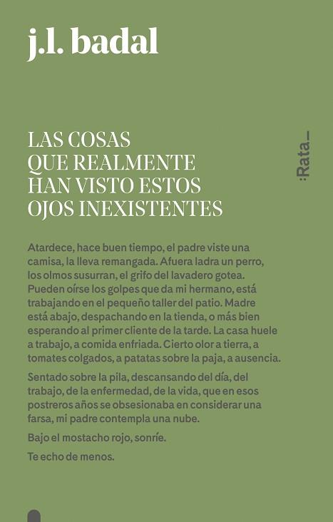 LAS COSAS QUE REALMENTE HAN VISTO ESTOS OJOS INEXISTENTES | 9788416738151 | BADAL, JOSEP LLUíS | Llibres Parcir | Librería Parcir | Librería online de Manresa | Comprar libros en catalán y castellano online