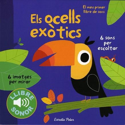 ELS OCELLS EXÒTICS | 9788490571811 | MARION BILLET | Llibres Parcir | Librería Parcir | Librería online de Manresa | Comprar libros en catalán y castellano online