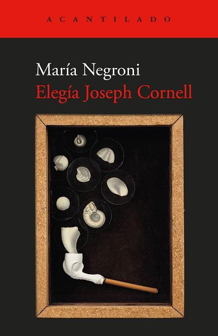 ELEGÍA JOSEPH CORNELL | 9791387964122 | NEGRONI, MARÍA | Llibres Parcir | Llibreria Parcir | Llibreria online de Manresa | Comprar llibres en català i castellà online