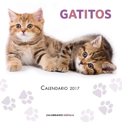 CALENDARIO GATITOS 2017 | 9788448022594 | AA. VV. | Llibres Parcir | Librería Parcir | Librería online de Manresa | Comprar libros en catalán y castellano online