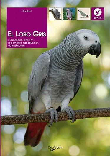 EL LORO GRIS | 9788431529437 | BARAT GUY | Llibres Parcir | Librería Parcir | Librería online de Manresa | Comprar libros en catalán y castellano online