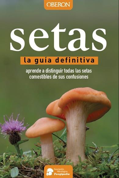 SETAS | 9788441537842 | CALVO PÉREZ, AITOR/CALVO PÉREZ, JAVIER/ROMÁN ECHEVARRÍA, JUAN ANDRÉS/IBARRETXE IRAGORRI, RICARDO | Llibres Parcir | Llibreria Parcir | Llibreria online de Manresa | Comprar llibres en català i castellà online