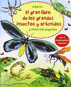 GRAN LIBRO DE GRANDES INSECTOS Y ARACNID | 9781409557890 | AAVV | Llibres Parcir | Llibreria Parcir | Llibreria online de Manresa | Comprar llibres en català i castellà online