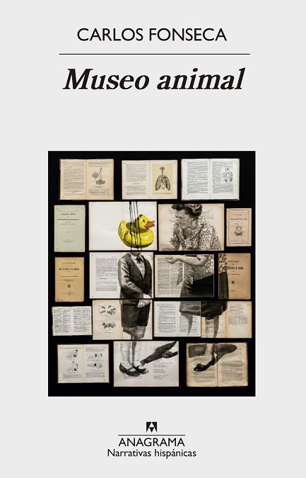 MUSEO ANIMAL | 9788433998408 | FONSECA, CARLOS | Llibres Parcir | Librería Parcir | Librería online de Manresa | Comprar libros en catalán y castellano online