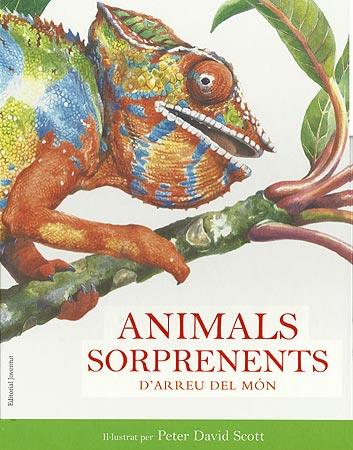 ANIMALS SORPRENDENTS D ARREU DEL MON | 9788426138712 | PETER DAVID SCOTT | Llibres Parcir | Librería Parcir | Librería online de Manresa | Comprar libros en catalán y castellano online