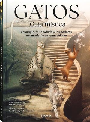 GATOS GUIA MISTICA | 9789464992007 | BELMONTE, FABIANA | Llibres Parcir | Llibreria Parcir | Llibreria online de Manresa | Comprar llibres en català i castellà online