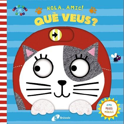 HOLA, AMIC! QUÈ VEUS? | 9788499068039 | VARIOS AUTORES | Llibres Parcir | Llibreria Parcir | Llibreria online de Manresa | Comprar llibres en català i castellà online