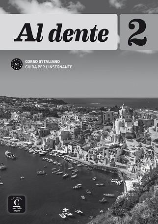 AL DENTE 2 LIBRO DEL PROFESOR | 9788416657766 | BERTACCHINI, MADDALENA / DE GIROLAMO, CRISTINA / TEA, ELENA | Llibres Parcir | Librería Parcir | Librería online de Manresa | Comprar libros en catalán y castellano online