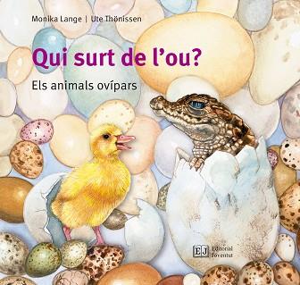 QUI SURT DE L'OU? | 9788426144096 | LANGE, MONIKA / THÖNISSEN, UTE | Llibres Parcir | Llibreria Parcir | Llibreria online de Manresa | Comprar llibres en català i castellà online