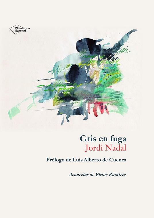 GRIS EN FUGA | 9788410243897 | NADAL HERNÁNDEZ, JORDI | Llibres Parcir | Librería Parcir | Librería online de Manresa | Comprar libros en catalán y castellano online