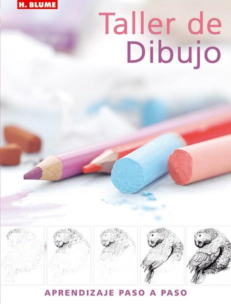 TALLER DE DIBUJO | 9788496669031 | WATSON, LUCY | Llibres Parcir | Librería Parcir | Librería online de Manresa | Comprar libros en catalán y castellano online