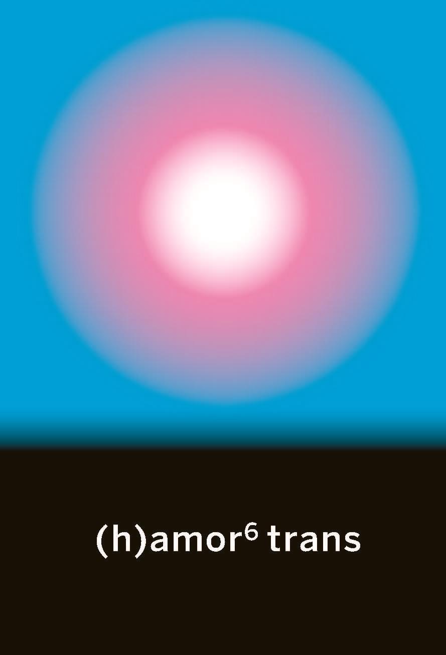 (H)AMOR 6 TRANS | 9788412276022 | VV.AA. | Llibres Parcir | Librería Parcir | Librería online de Manresa | Comprar libros en catalán y castellano online