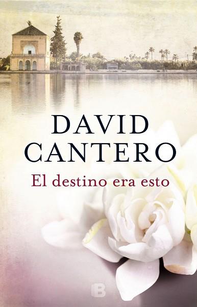 EL DESTINO ERA ESTO | 9788466660068 | CANTERO, DAVID | Llibres Parcir | Librería Parcir | Librería online de Manresa | Comprar libros en catalán y castellano online