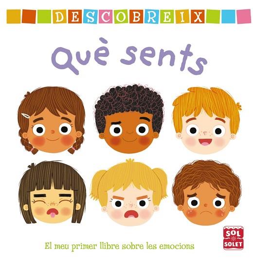 DESCOBREIX QUÈ SENTS | 9788499063003 | AA.VV | Llibres Parcir | Llibreria Parcir | Llibreria online de Manresa | Comprar llibres en català i castellà online