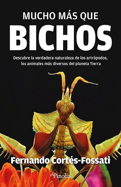 MUCHO MÁS QUE BICHOS | 9788419878496 | FERNANDO CORTÉS FOSSATI | Llibres Parcir | Librería Parcir | Librería online de Manresa | Comprar libros en catalán y castellano online