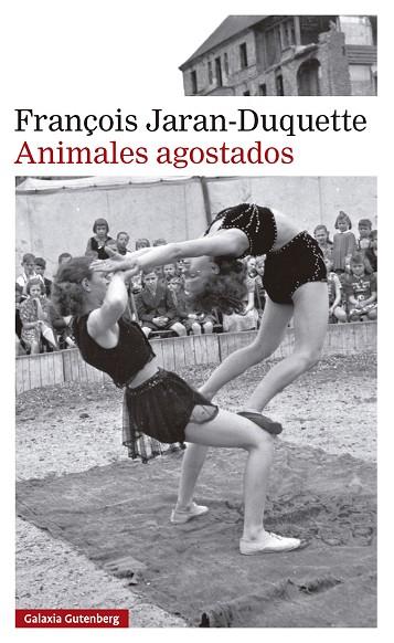 ANIMALES AGOSTADOS | 9791388019630 | JARAN-DUQUETTE, FRANÇOIS | Llibres Parcir | Llibreria Parcir | Llibreria online de Manresa | Comprar llibres en català i castellà online
