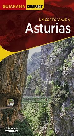 ASTURIAS | 9788491587309 | MARTÍNEZ REVERTE, JAVIER/GÓMEZ, IÑAKI/ALONSO GONZÁLEZ, JUAN CARLOS/PLANS, JUAN JOSÉ | Llibres Parcir | Llibreria Parcir | Llibreria online de Manresa | Comprar llibres en català i castellà online