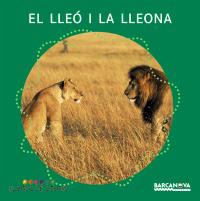 EL LLEO I LA LLEONA | 9788448914127 | Llibres Parcir | Llibreria Parcir | Llibreria online de Manresa | Comprar llibres en català i castellà online