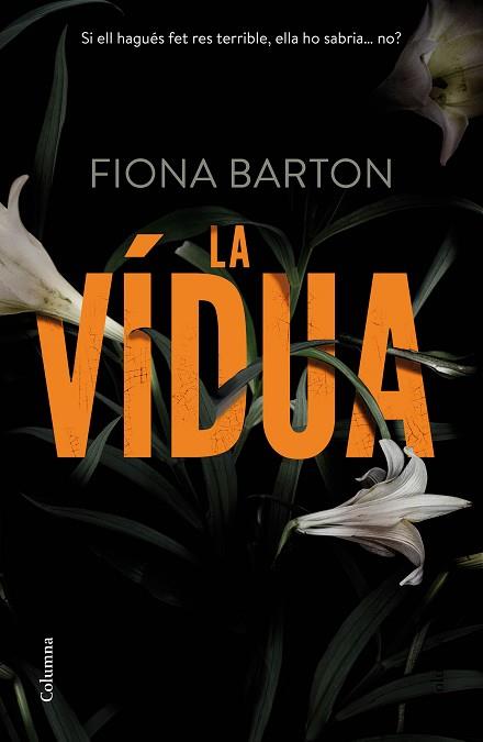 LA VÍDUA | 9788466420945 | FIONA BARTON | Llibres Parcir | Llibreria Parcir | Llibreria online de Manresa | Comprar llibres en català i castellà online