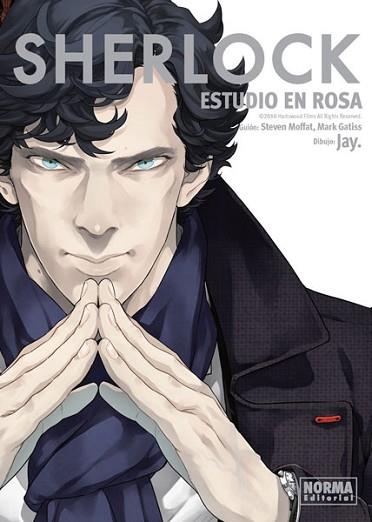 SHERLOCK | 9788467926583 | JAY | Llibres Parcir | Llibreria Parcir | Llibreria online de Manresa | Comprar llibres en català i castellà online