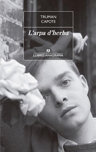 L'ARPA D'HERBA | 9788433915481 | CAPOTE, TRUMAN | Llibres Parcir | Librería Parcir | Librería online de Manresa | Comprar libros en catalán y castellano online
