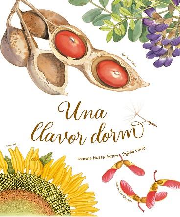 UNA LLAVOR DORM | 9788418900235 | HUTTS ASTON, DIANNA | Llibres Parcir | Librería Parcir | Librería online de Manresa | Comprar libros en catalán y castellano online