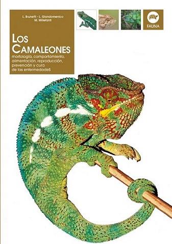 LOS CAMALEONES | 9788431529451 | BRUNETTI L | Llibres Parcir | Librería Parcir | Librería online de Manresa | Comprar libros en catalán y castellano online