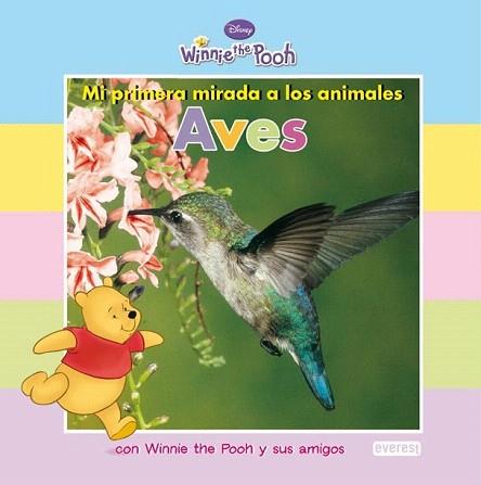 WINNIE THE POOH AVES | 9788444164298 | Llibres Parcir | Llibreria Parcir | Llibreria online de Manresa | Comprar llibres en català i castellà online