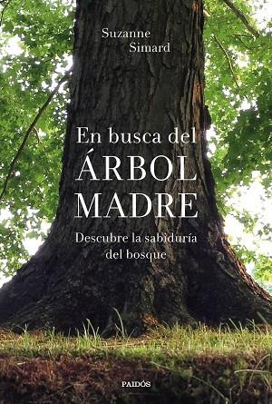 EN BUSCA DEL ÁRBOL MADRE | 9788449338311 | SIMARD, SUZANNE | Llibres Parcir | Llibreria Parcir | Llibreria online de Manresa | Comprar llibres en català i castellà online
