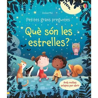 QUE SON LES ESTRELLES | 9781474946841 | DAYNES KATIE | Llibres Parcir | Llibreria Parcir | Llibreria online de Manresa | Comprar llibres en català i castellà online