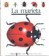 MARIETA | 9788476295250 | Llibres Parcir | Librería Parcir | Librería online de Manresa | Comprar libros en catalán y castellano online