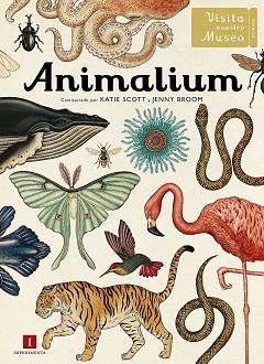 ANIMALIUM | 9788415979463 | SCOTT, KATIE/BROOM, JENNY | Llibres Parcir | Llibreria Parcir | Llibreria online de Manresa | Comprar llibres en català i castellà online