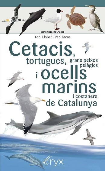 CETACIS, TORTUGUES, GRANS PEIXOS PELÀGICS I OCELLS MARINS DE CATALUNYA | 9788490349441 | LLOBET FRANÇOIS , TONI / ARCOS XX, PEP | Llibres Parcir | Librería Parcir | Librería online de Manresa | Comprar libros en catalán y castellano online
