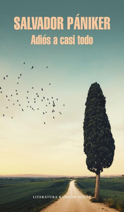 ADIÓS A CASI TODO (DIARIOS DE PÁNIKER 5) | 9788439732693 | PANIKER, SALVADOR | Llibres Parcir | Llibreria Parcir | Llibreria online de Manresa | Comprar llibres en català i castellà online